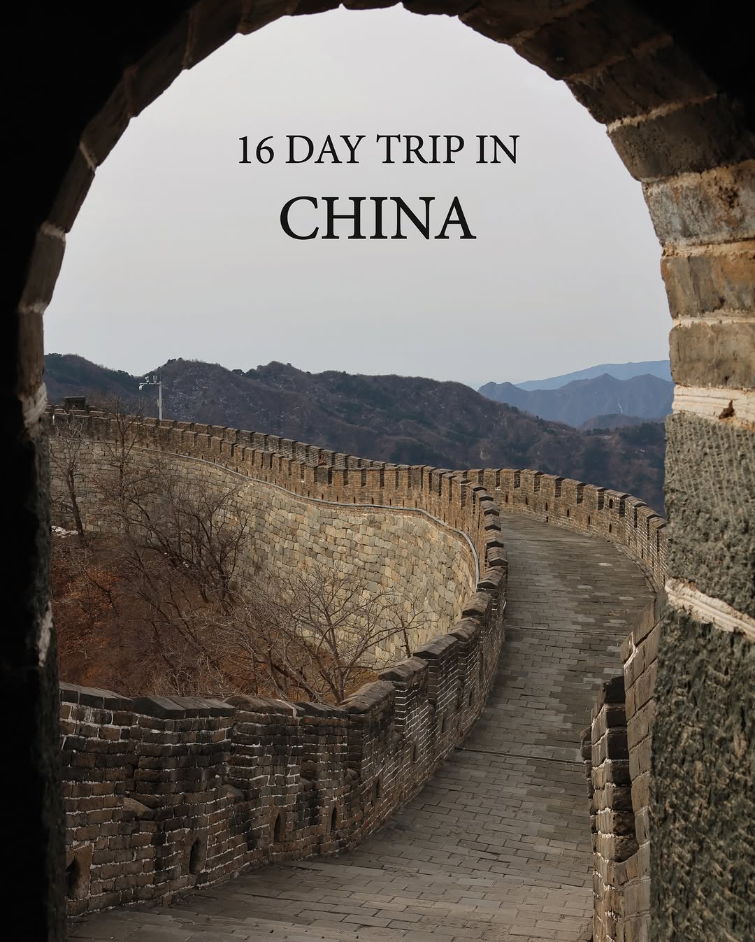 𝗚𝗮𝗯𝗿𝗶𝗲𝗹𝗲 👨🏼‍⚕️, Forbidden City