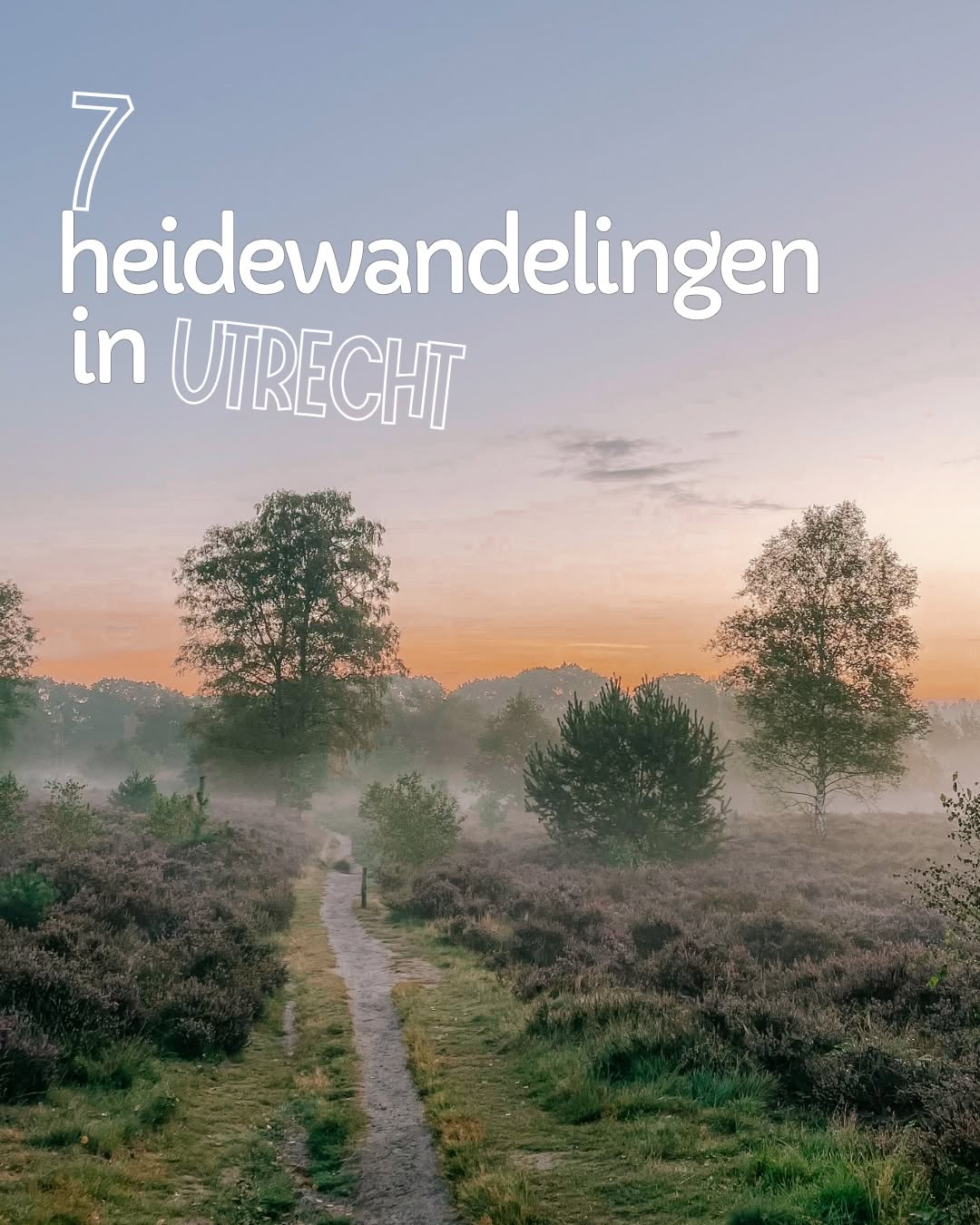 Utrecht Heath Walks And Nature Areas