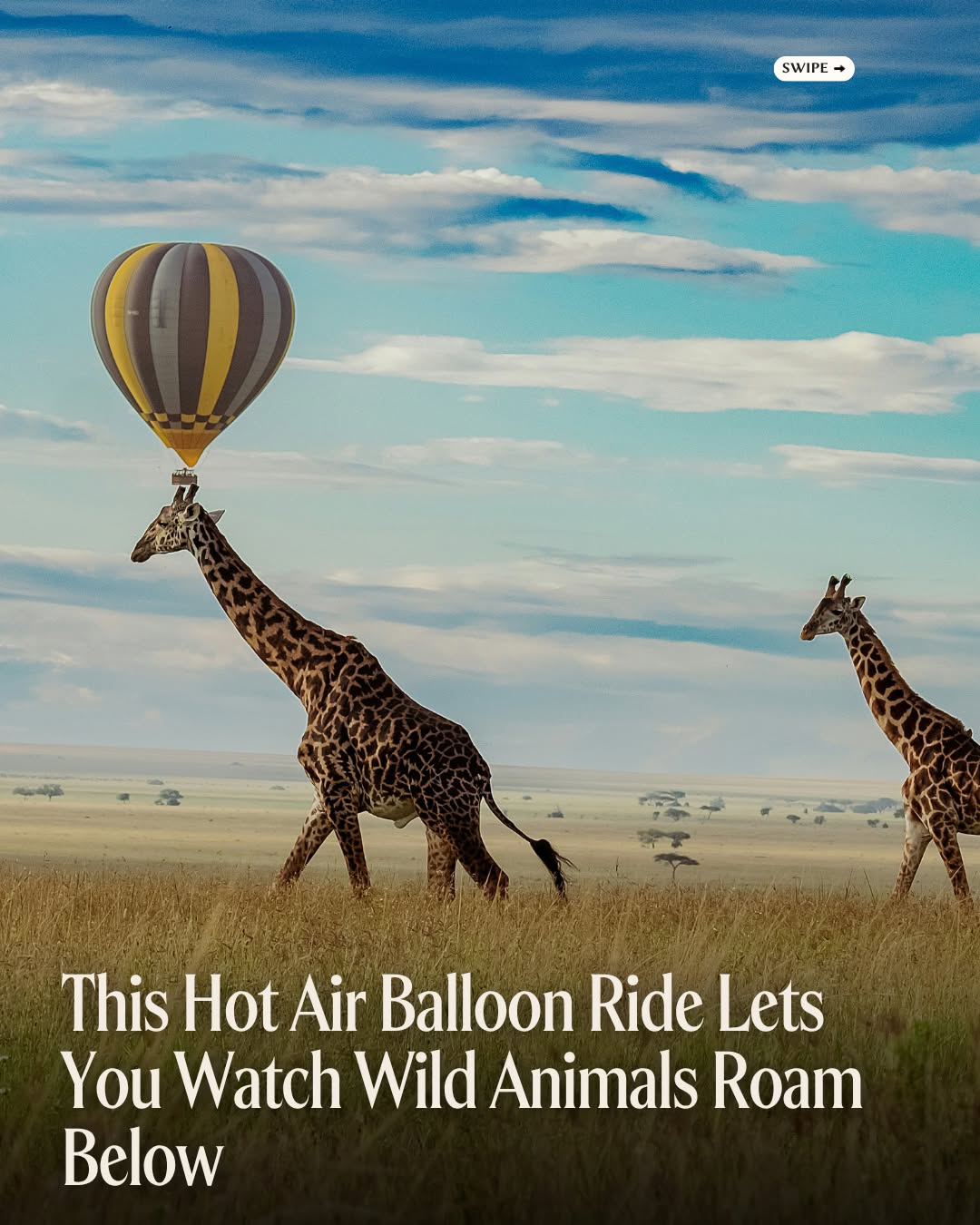 Serengeti Hot Air Balloon Safari Sunrise Experience