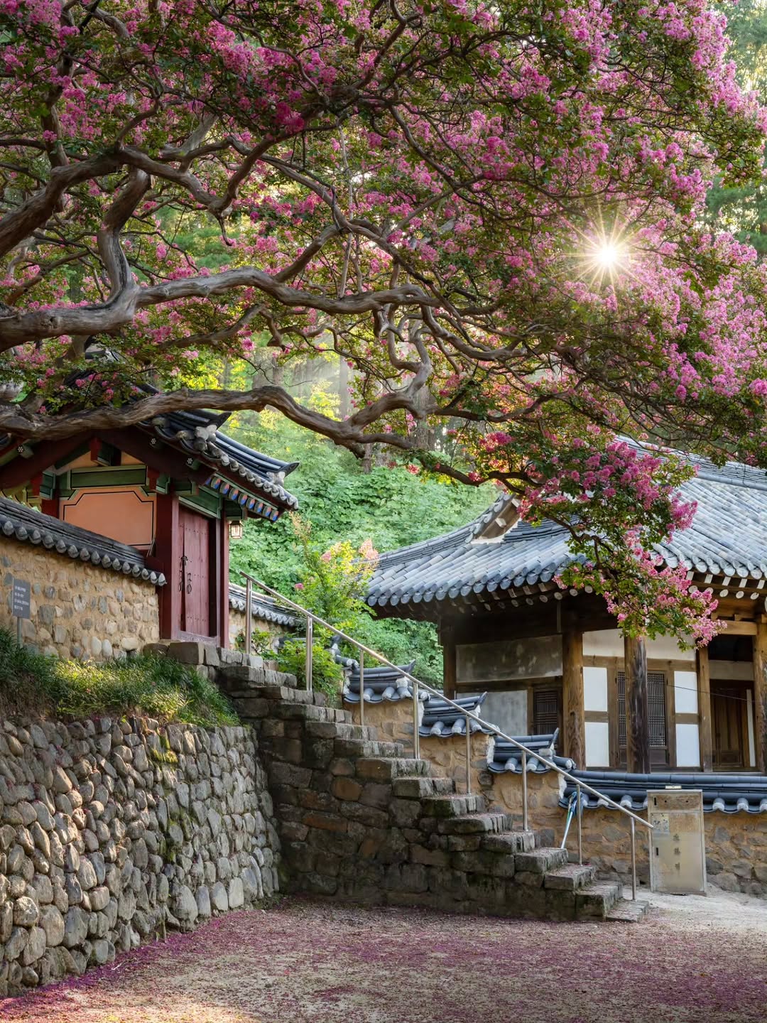 Gimnyeon Janggun Yujeokji: Crape Myrtle Blooms