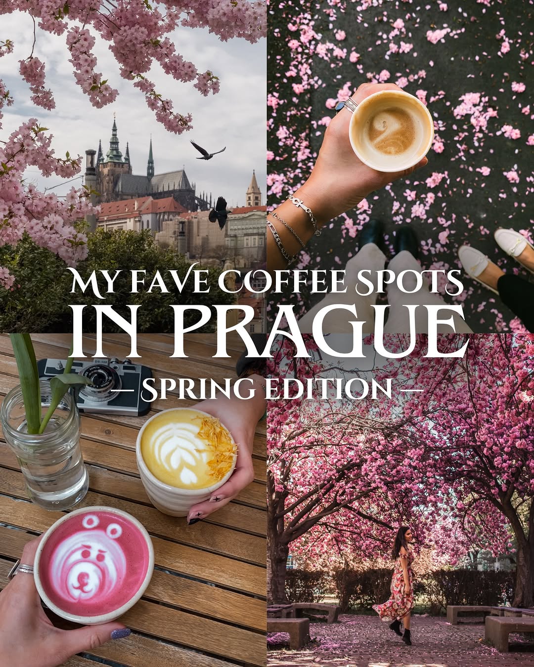 Prague Spring Coffee Guide
