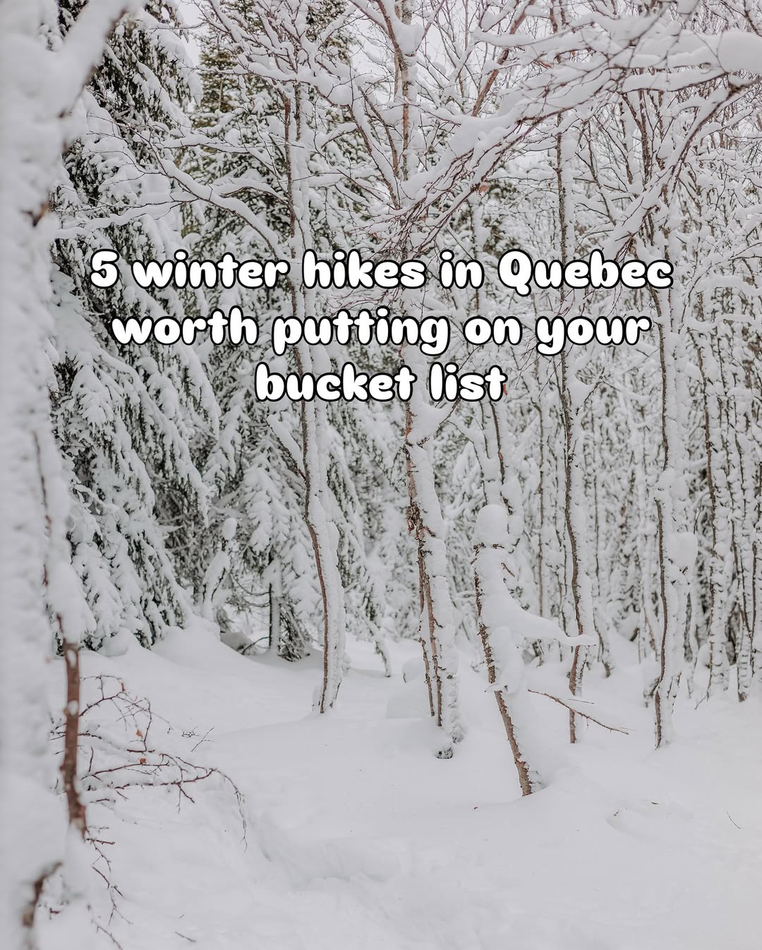 Quebec's Top 5 Winter Hiking Trails