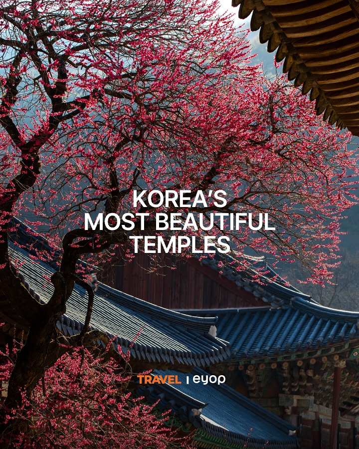 Beautiful Korean Temples Recommended By CNN