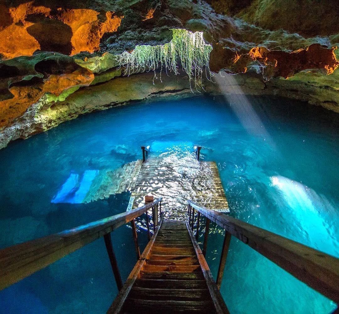 Devil's Den: Florida's Natural Spring for Diving