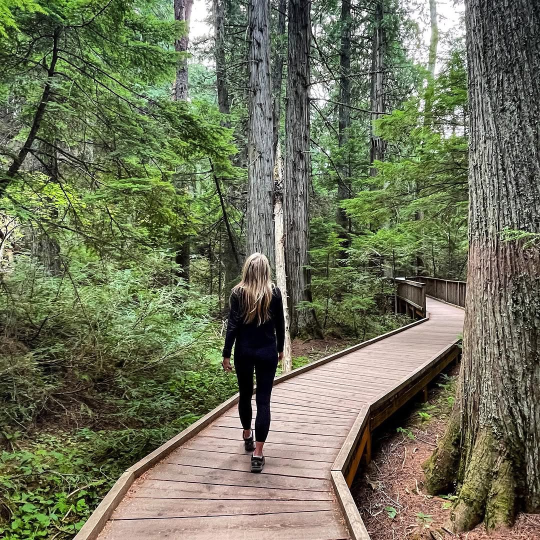 Glacier National Park's Trail of Cedars Boardwalk