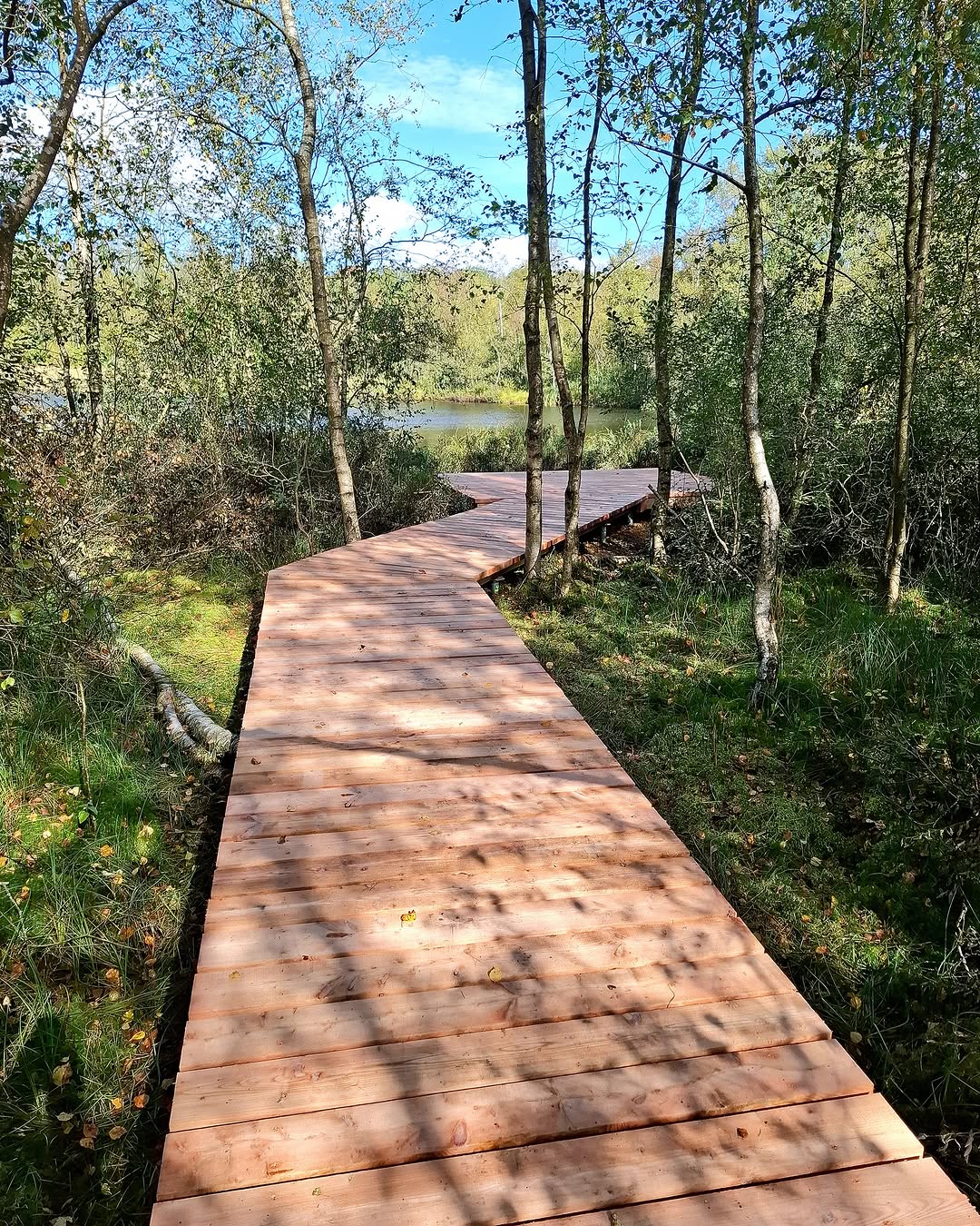 Naturstyrelsen, Torring