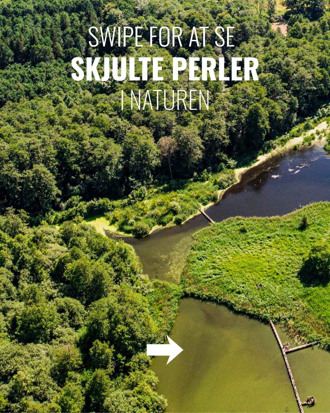 Seven Undiscovered Nature Gems in Destination Sjælland