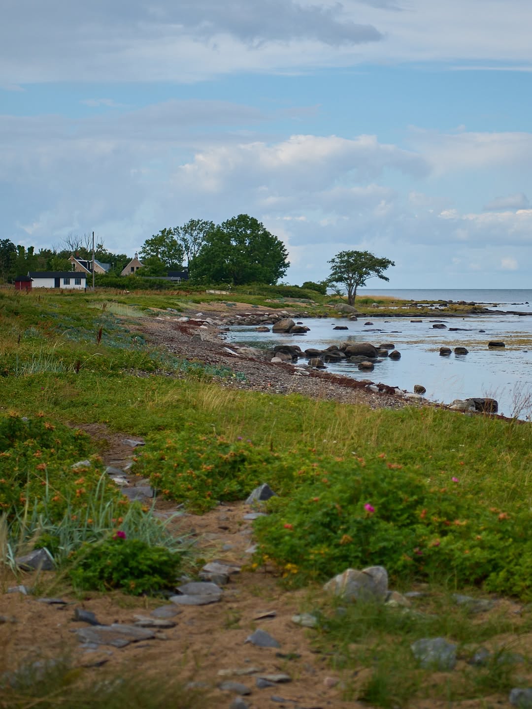 Coastal Nature and Ancient Rock Carvings