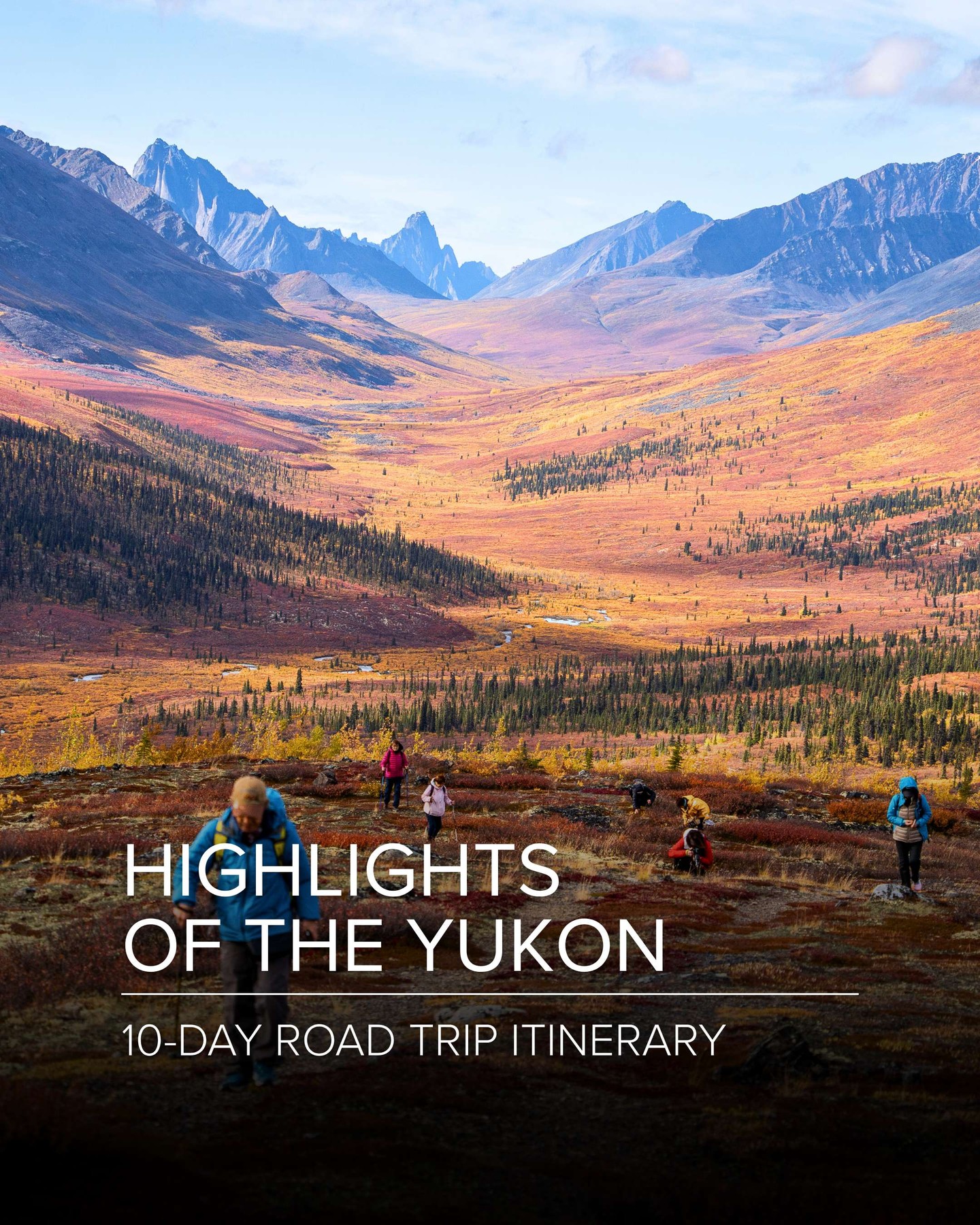 Yukon Wilderness Road Trip: Gold Rush History and Wildlife