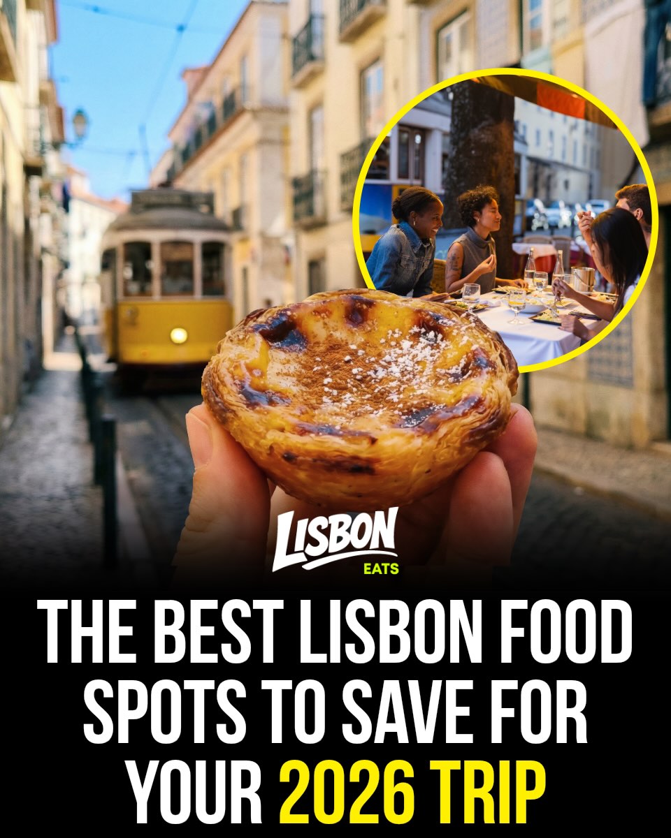 Lisbon's Top Food Spots and Pastries