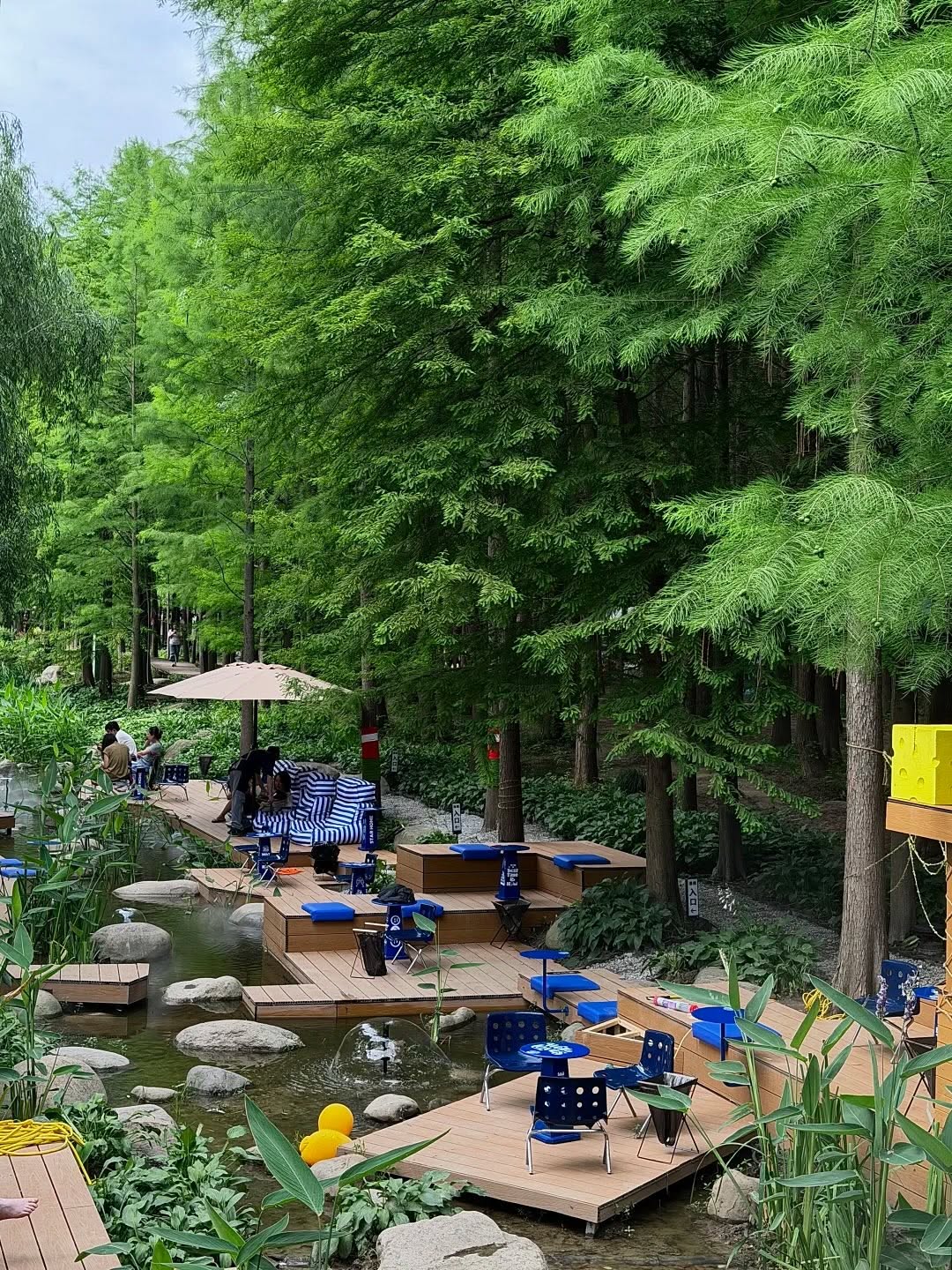 Shanghai Forest Oasis Offers Cool Escape