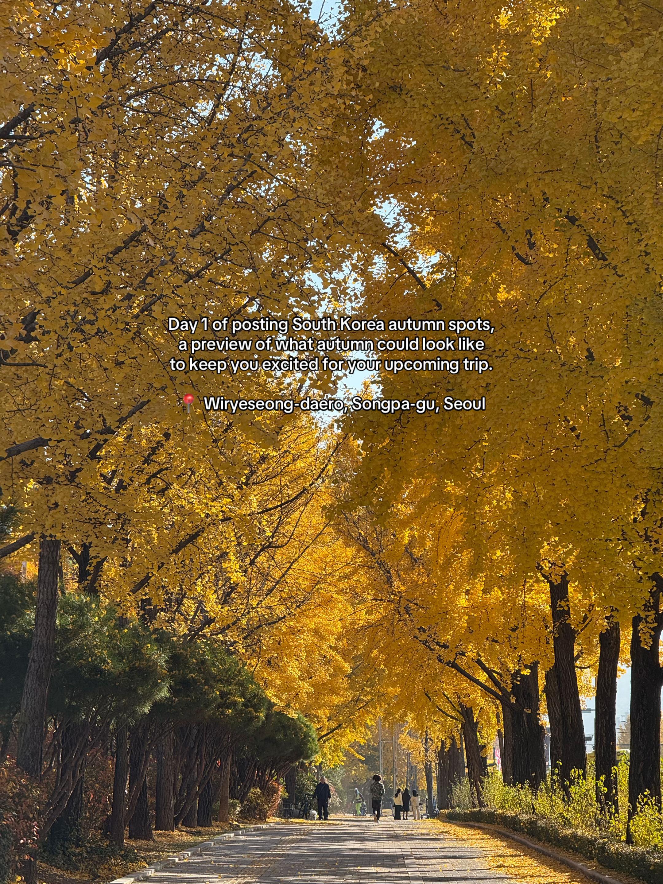 Autumn Walks Near Olympic Park