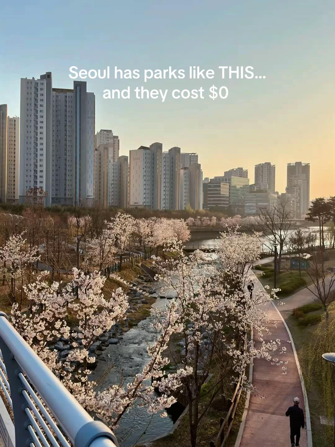 Seoul's Beautiful Parks Offer Free Entry