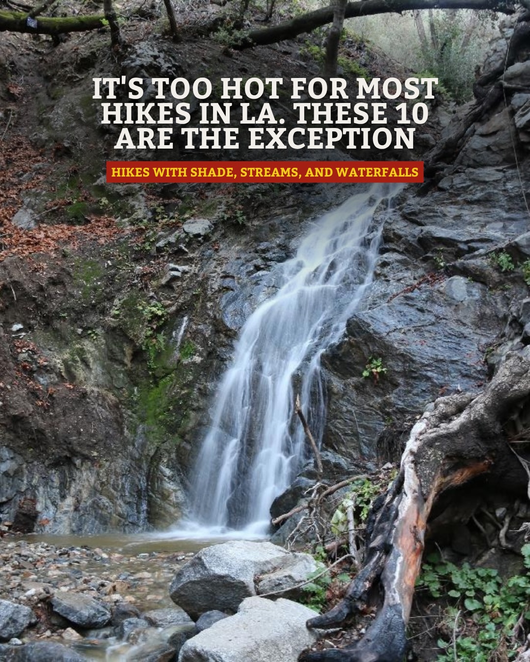 Coolest Hikes For Beating The Los Angeles Heat