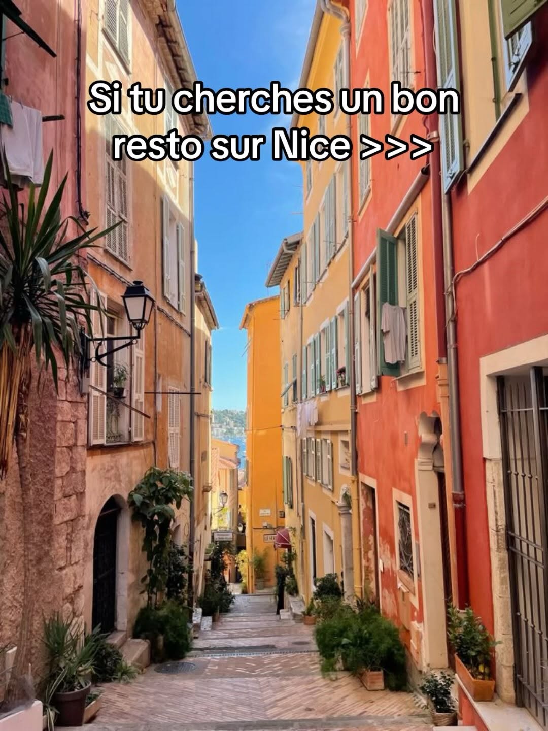 Top 12 Restaurants and Coffee Shops in Nice