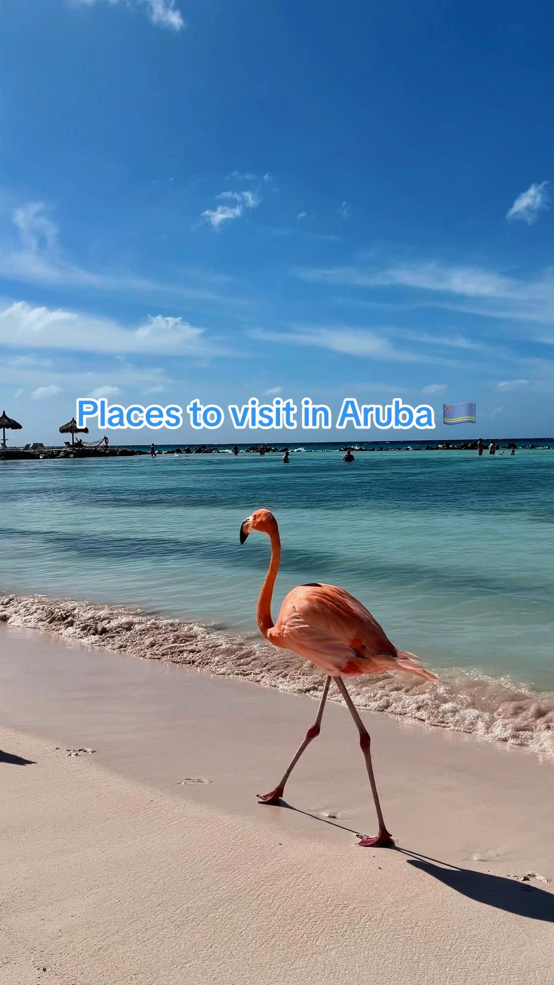 YourTravelGuide, Oranjestad