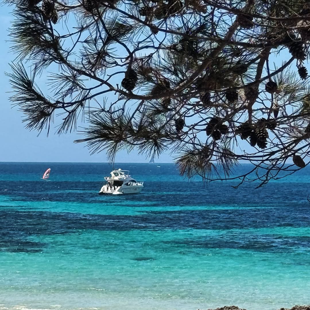 Majorca's Coastal Charms Unveiled