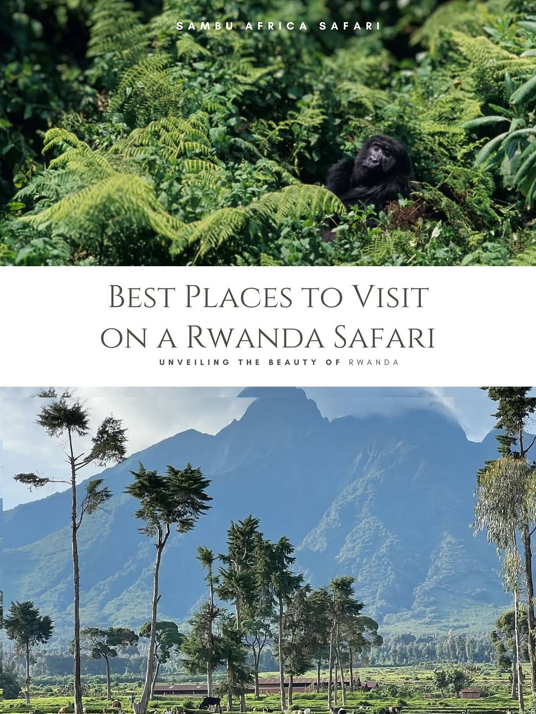Explore Rwanda's Diverse Natural Wonders and Wildlife