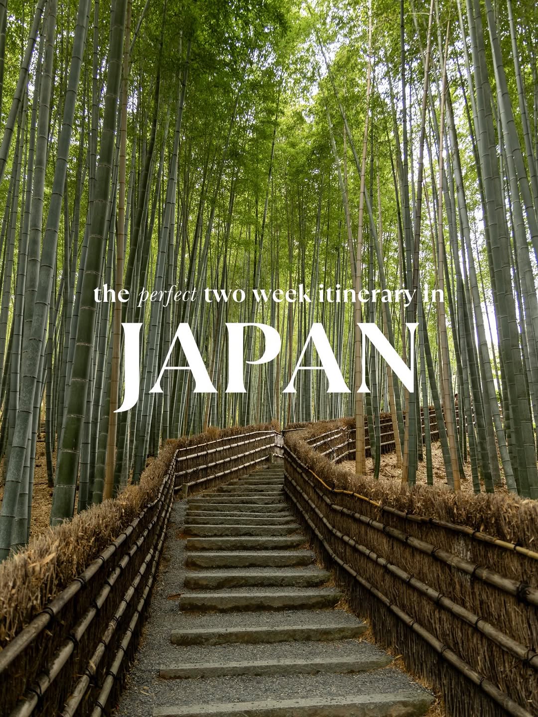 Japan Travel Guide: Temples, Markets, and City Views
