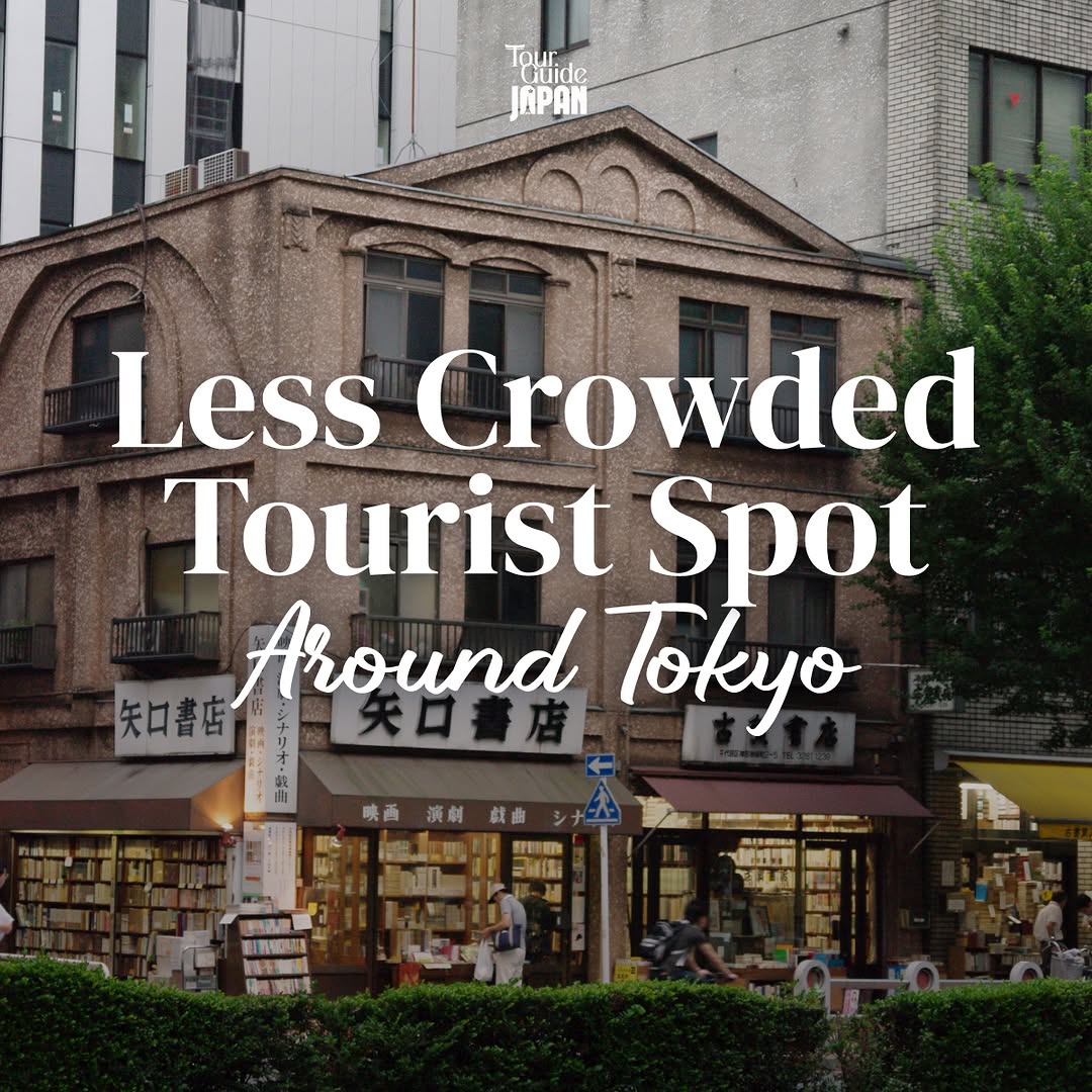 Tokyo's Relaxing Spots for a Leisurely Stroll