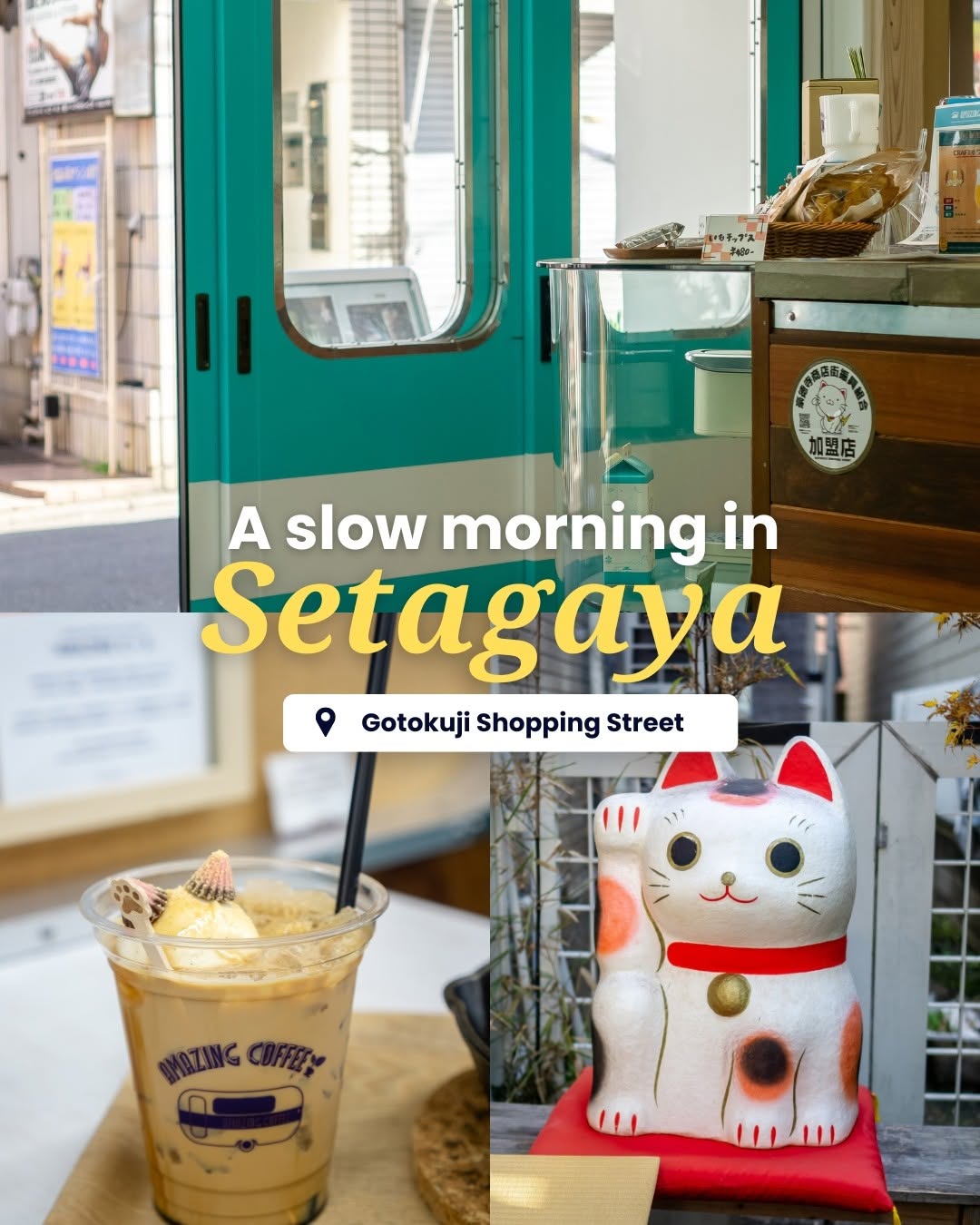 Feline Charm and Local Delights Near Gotokuji Temple