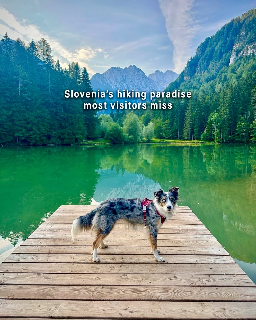 Planšarsko Lake: Slovenia's Alpine Valley Gem