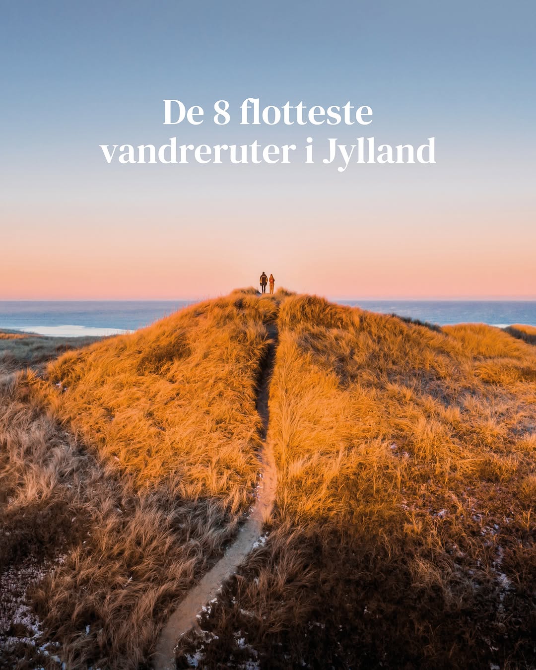 Jutland Hiking Trails Offer Coastal Views And Heather