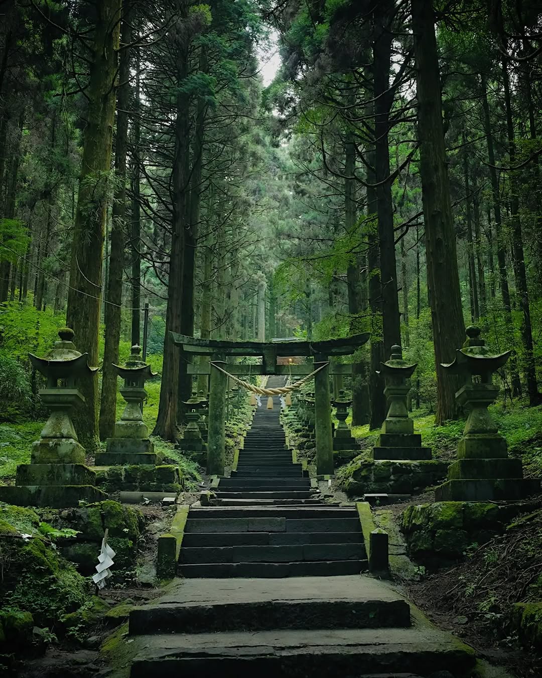 Mystical Shrines of Kumamoto, Japan