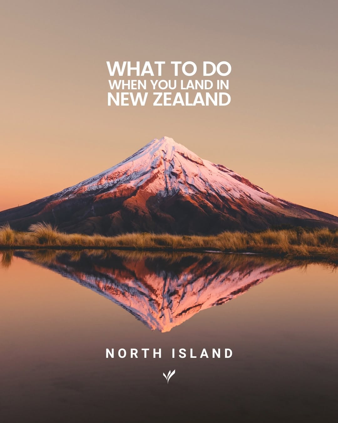 18 Attractions in New Zealand