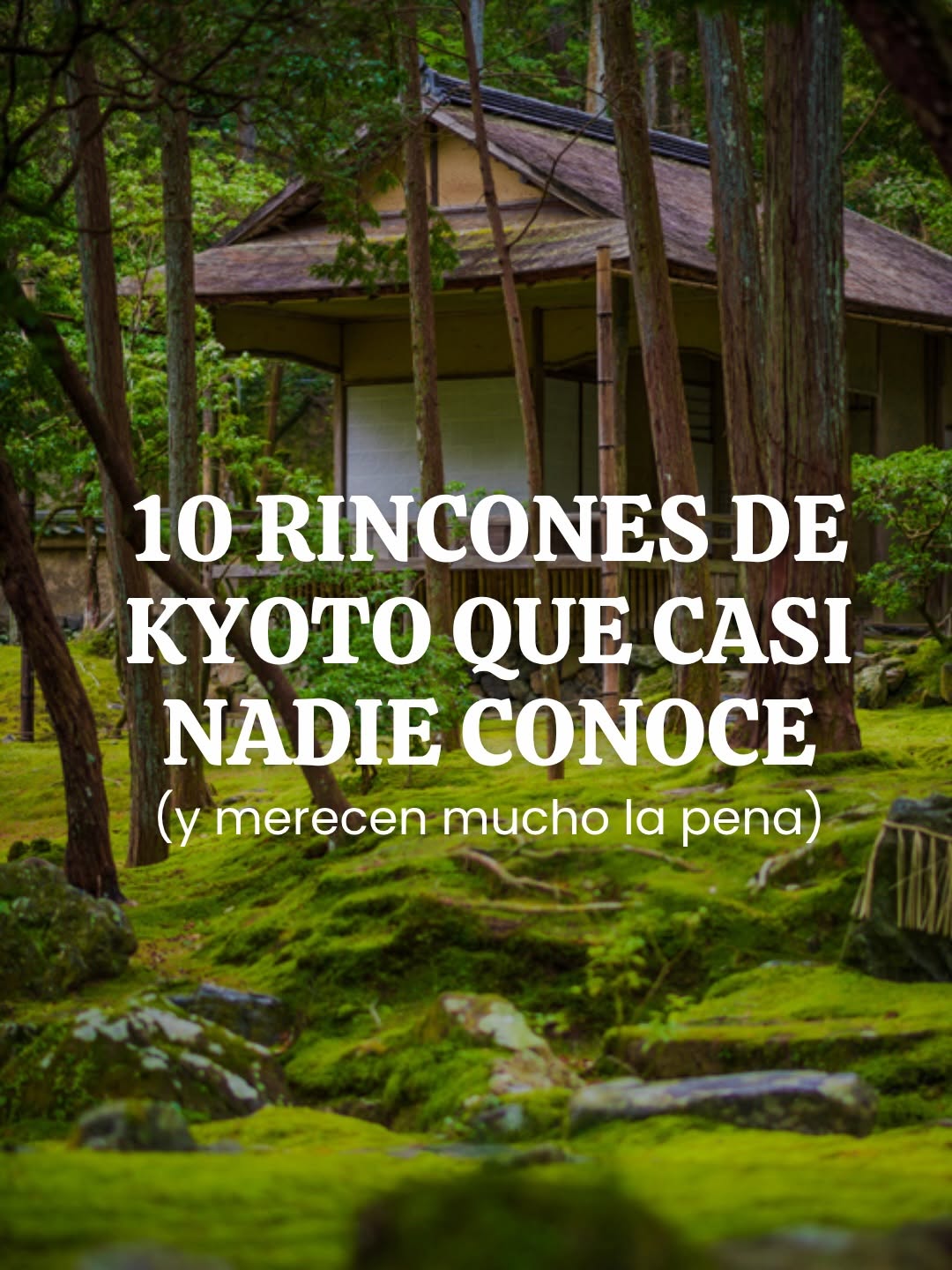 Ten Undiscovered Kyoto Gems for Travelers
