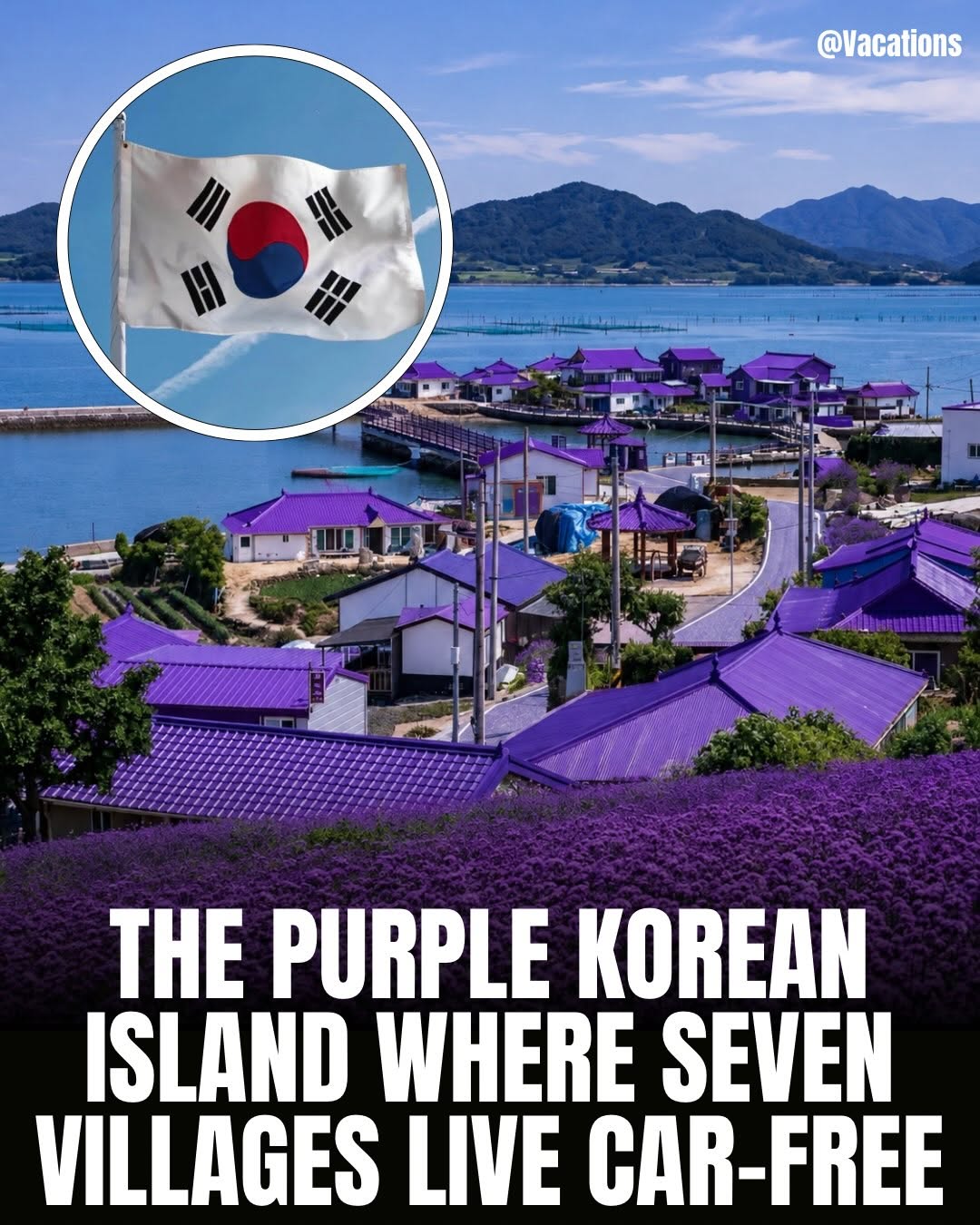 South Korea's Violet Island Escape