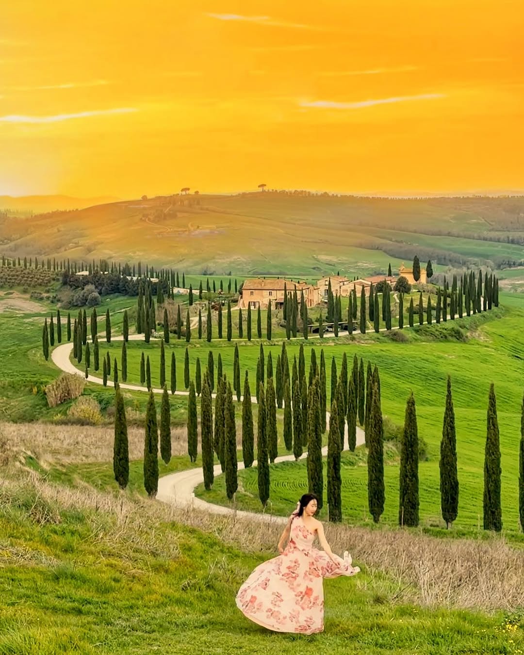 Tuscan Cypress Road Photo Opportunities