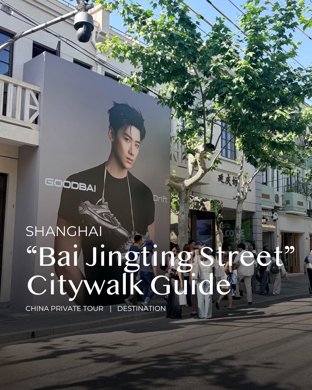 Yanqing Road: Shanghai's Bai Jingting Street Hotspot