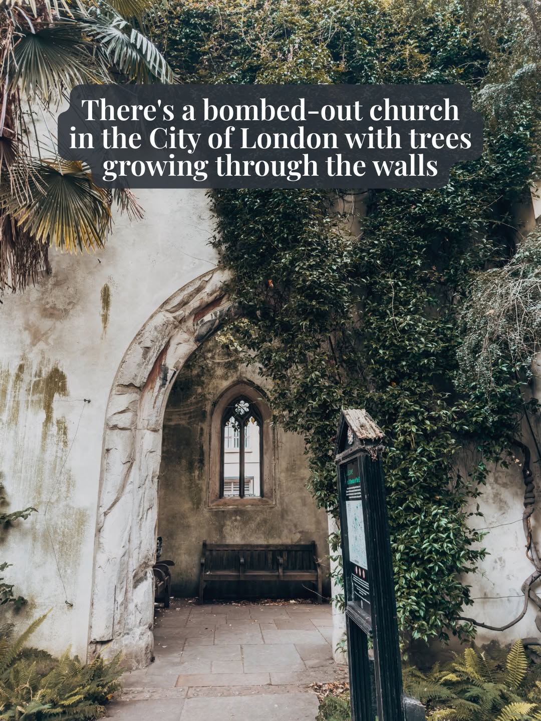 Nature Reclaims Ruined London Church Garden