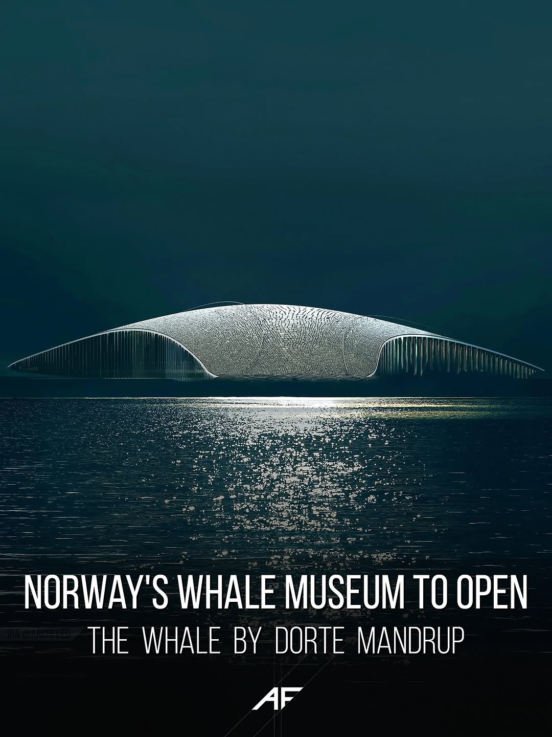 New Whale Attraction On Norway's Arctic Coast