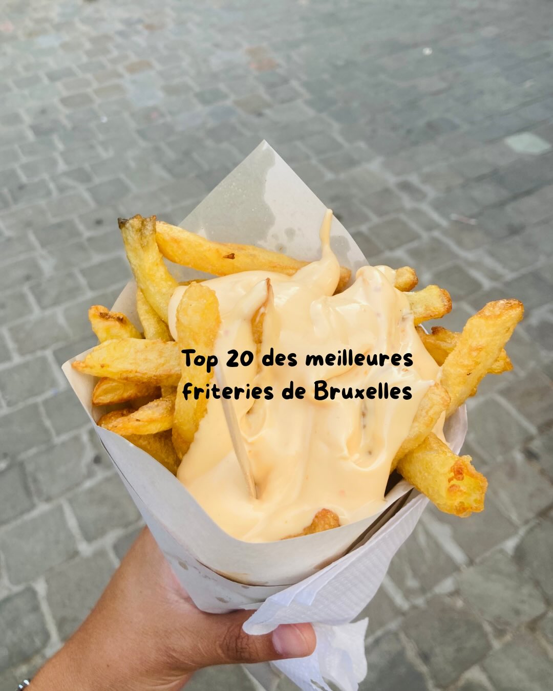 Best French Fry Spots In Brussels