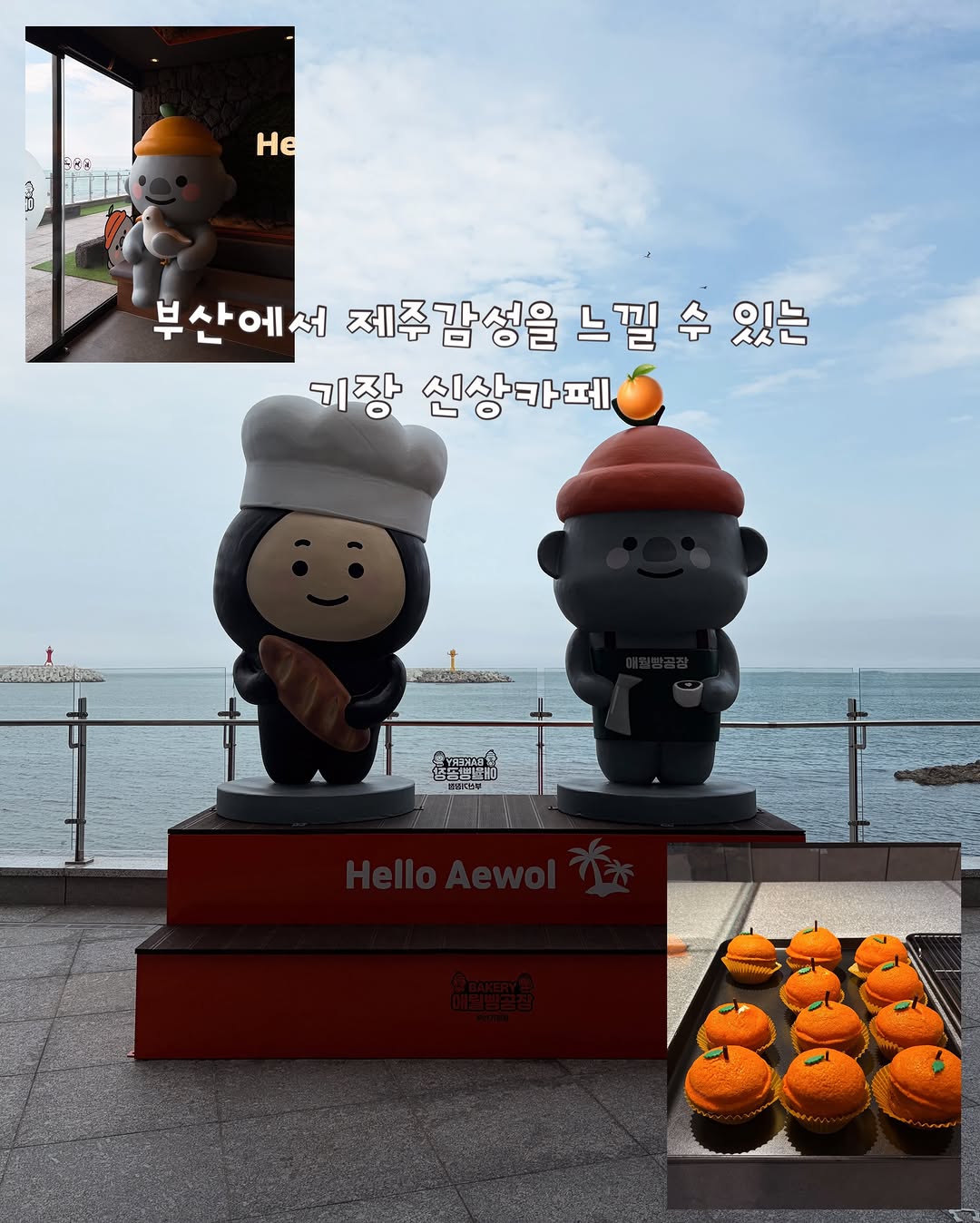 New Jeju-Themed Cafe Opens in Busan