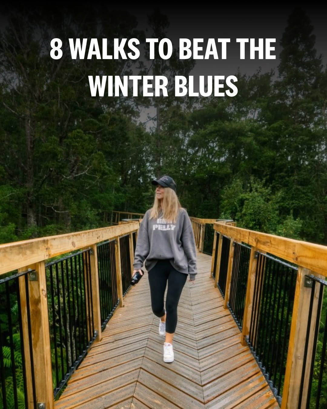 Auckland's Best Winter Bush Walks