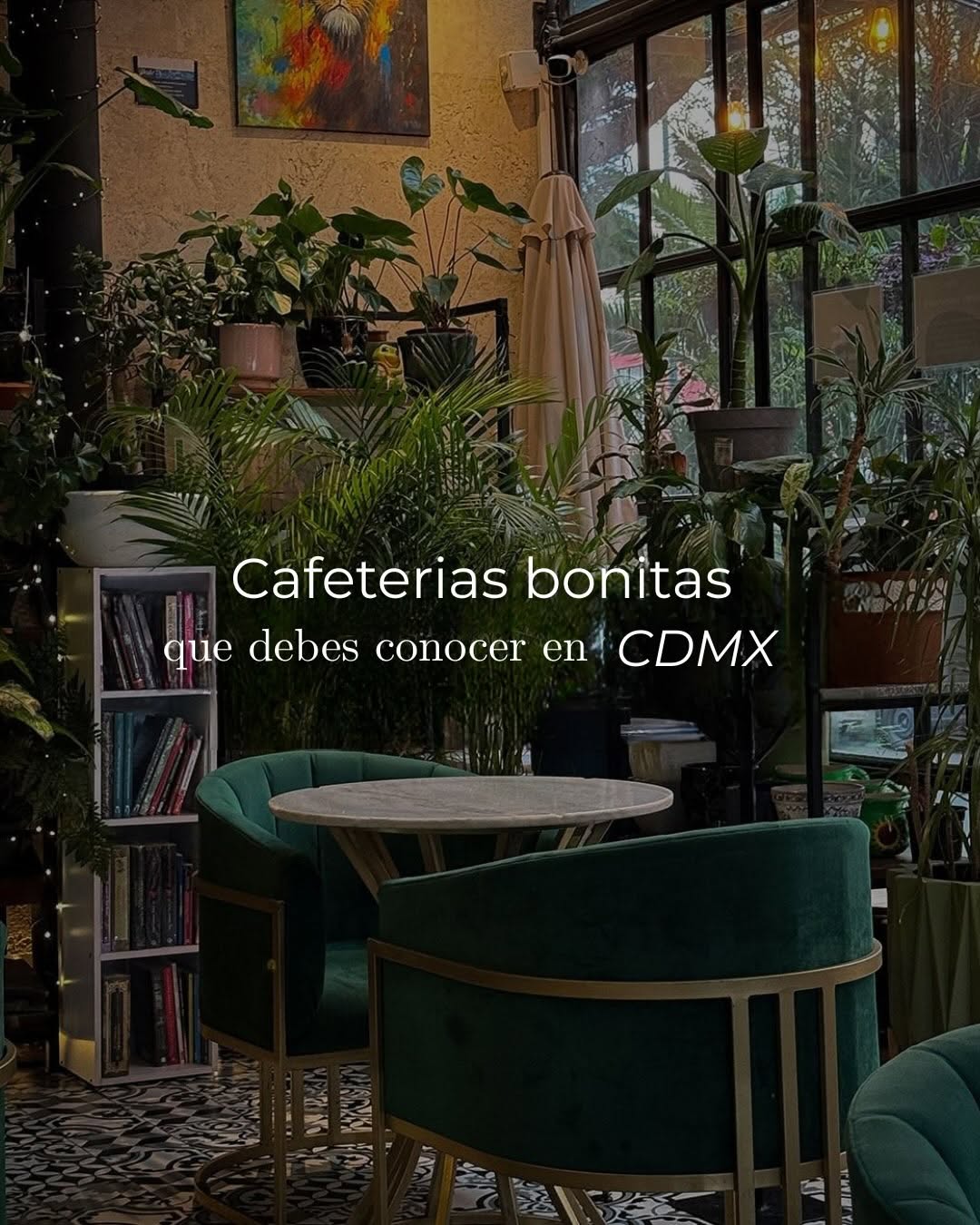 Péshé Offers Food, Coffee, Workshops, and Live Music