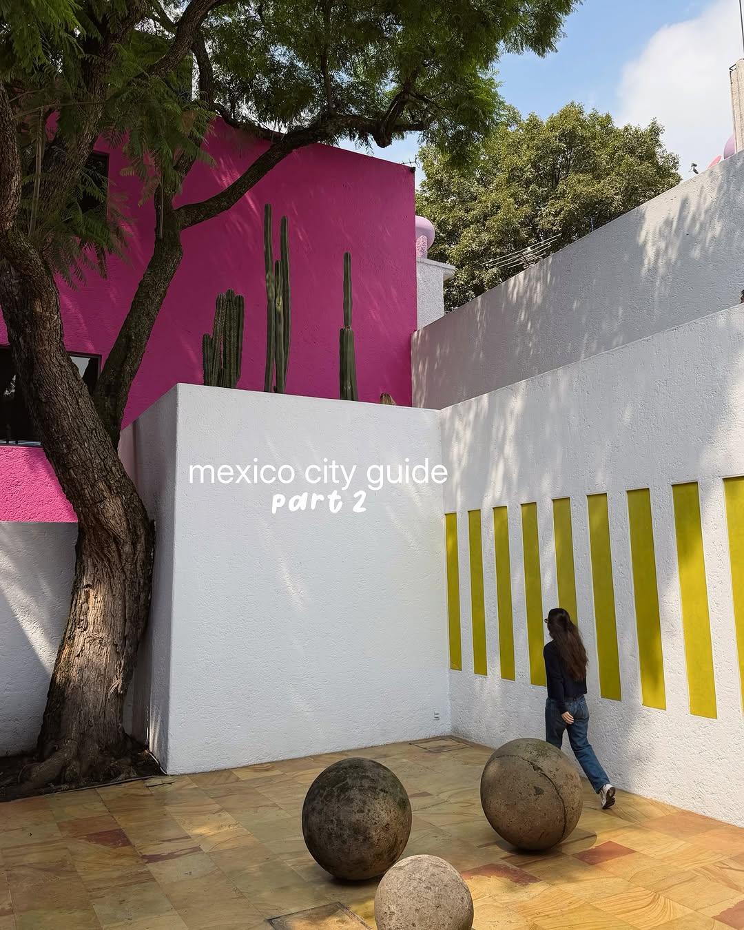 Mexico City: Culture, Food, and Wellness Attractions