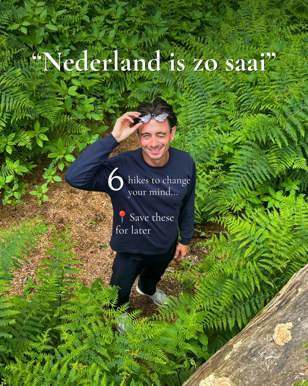 Six Scenic Dutch Hiking Routes Through Diverse Landscapes