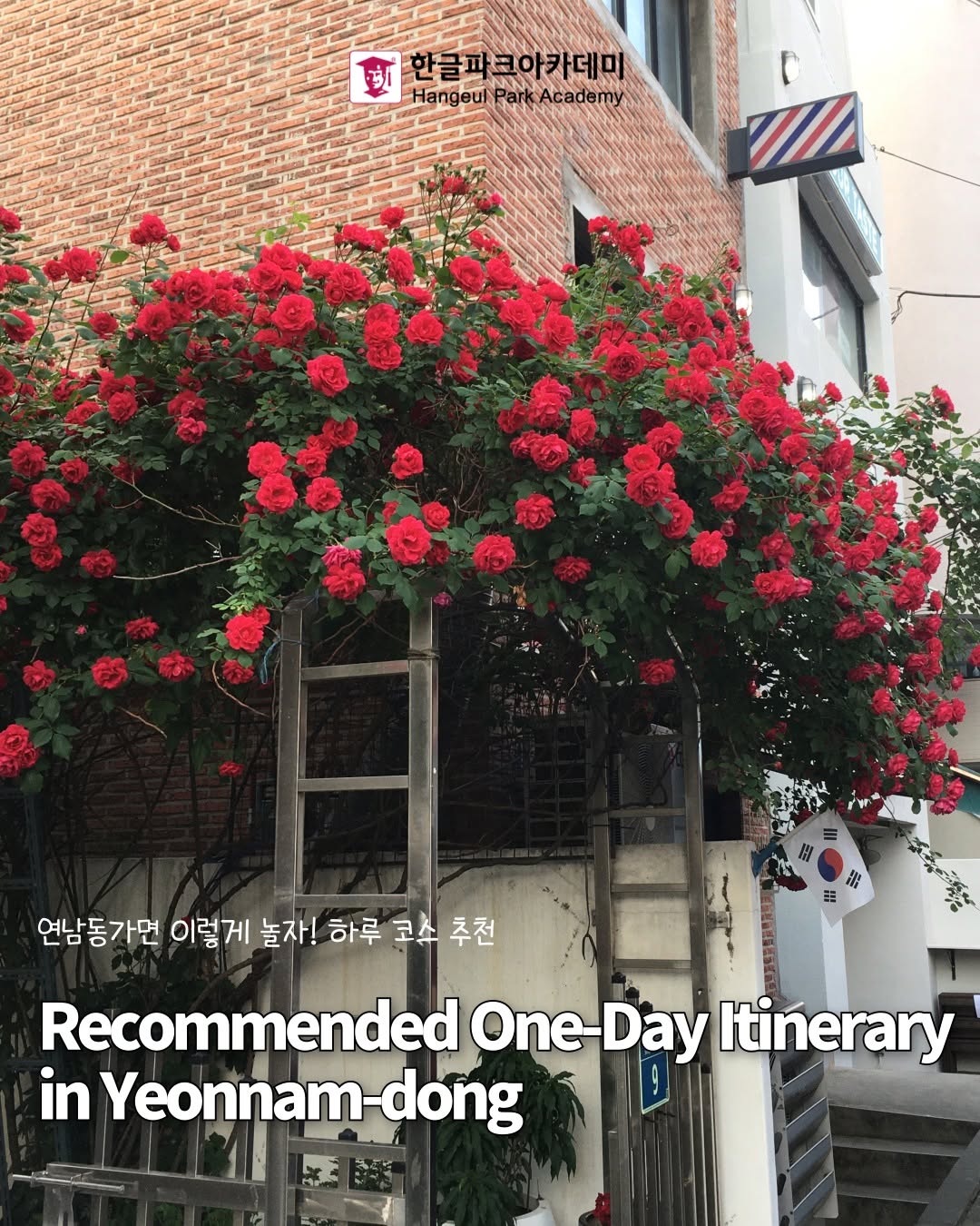 Yeonnam-dong's Cafes, Shops, and Rose Spots