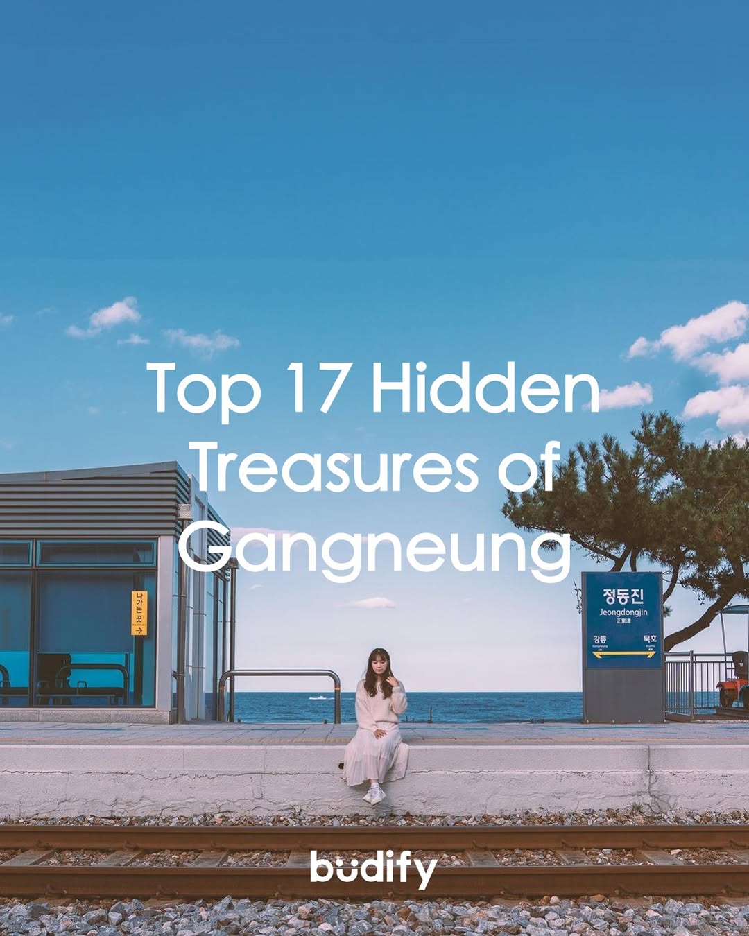Gangneung's Hidden Winter and Spring Gems