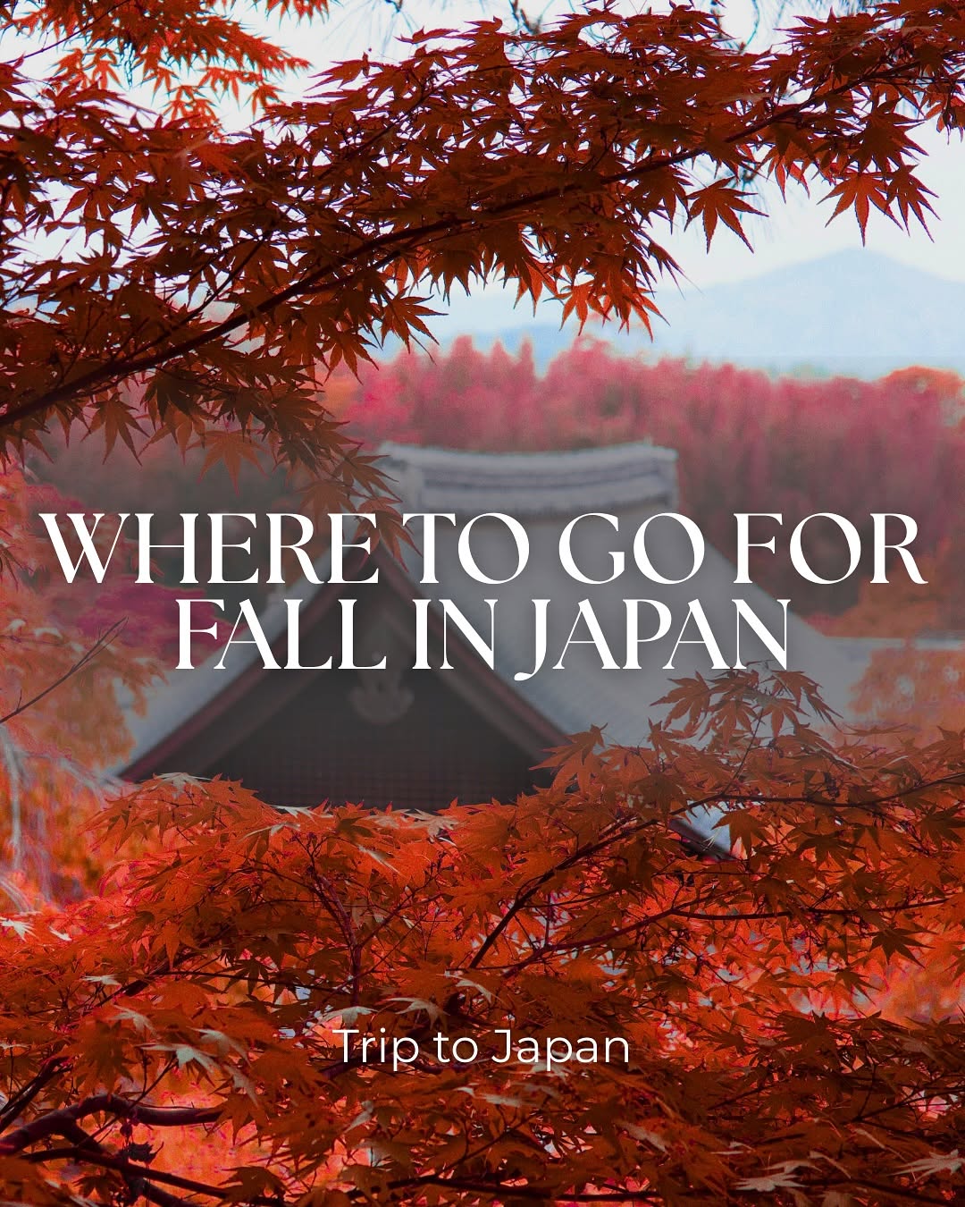 Best Places for Fall Foliage Viewing in Japan