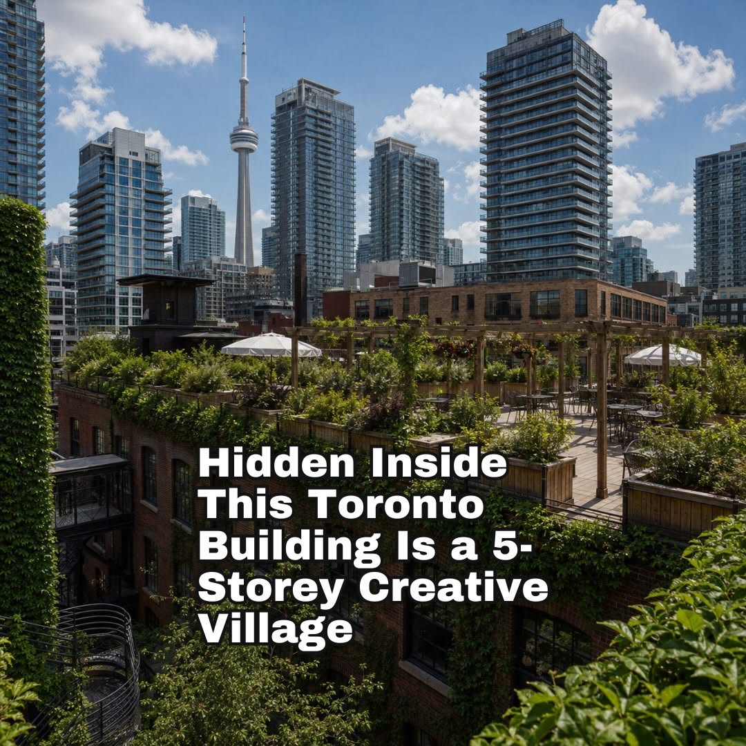 Toronto's Creative Hub Boasts Hidden Rooftop Garden