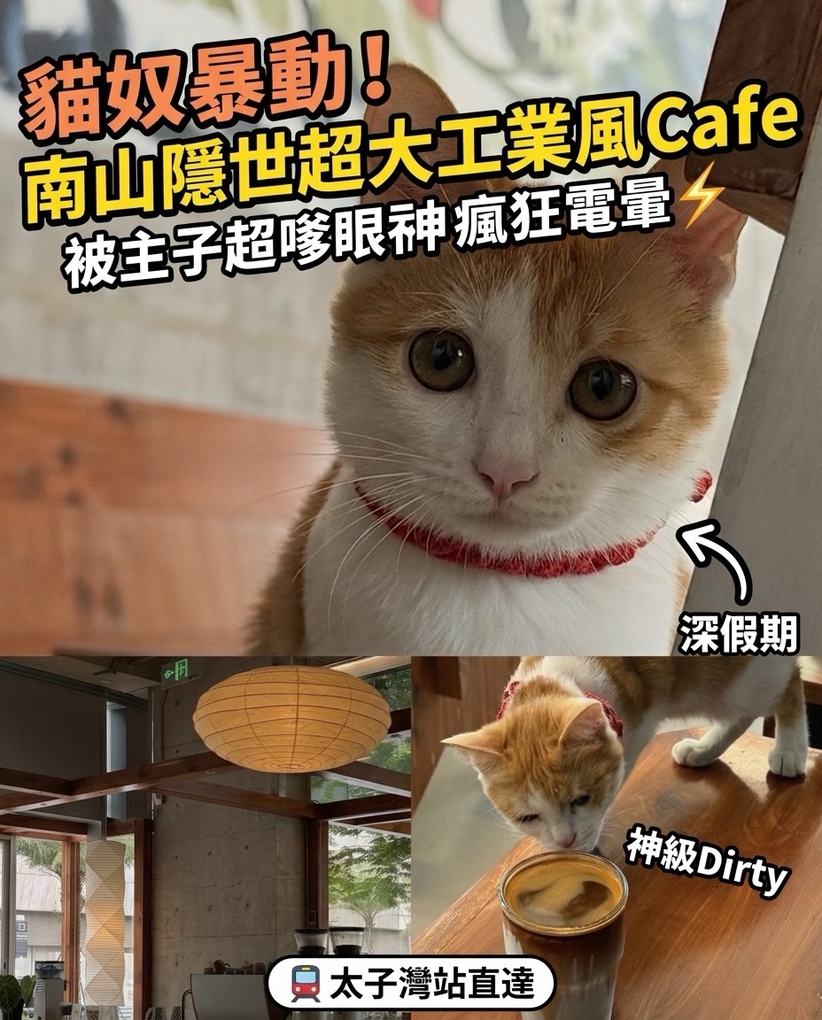 K11 Cat Cafe: Industrial Charm And Dirty Coffee