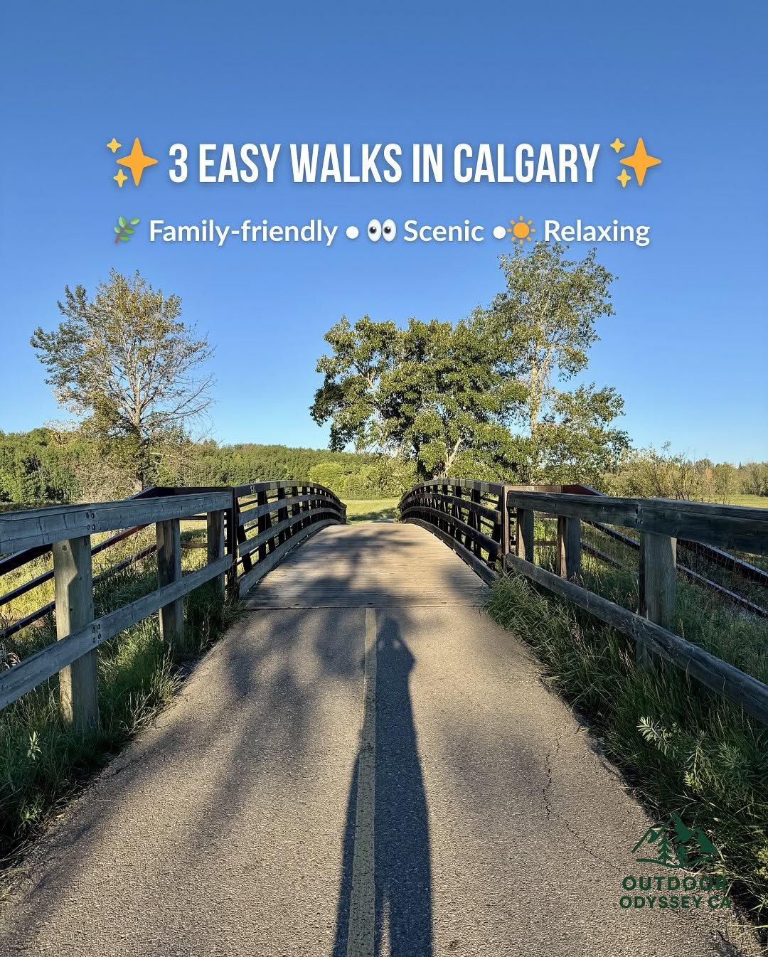 Calgary's Scenic Walking Trails With Family-Friendly Charm