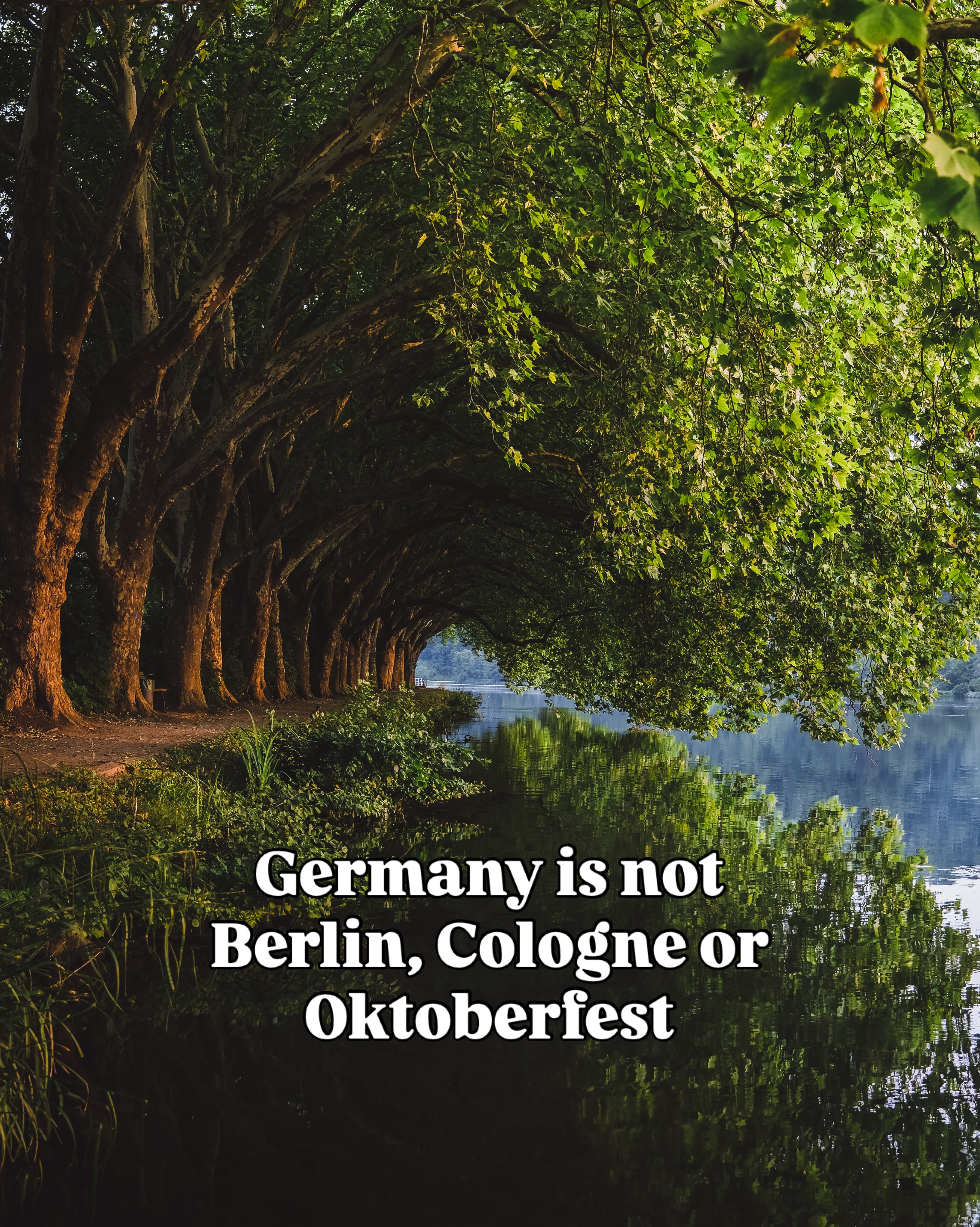 Discover Germany's Hidden Gems and Natural Wonders