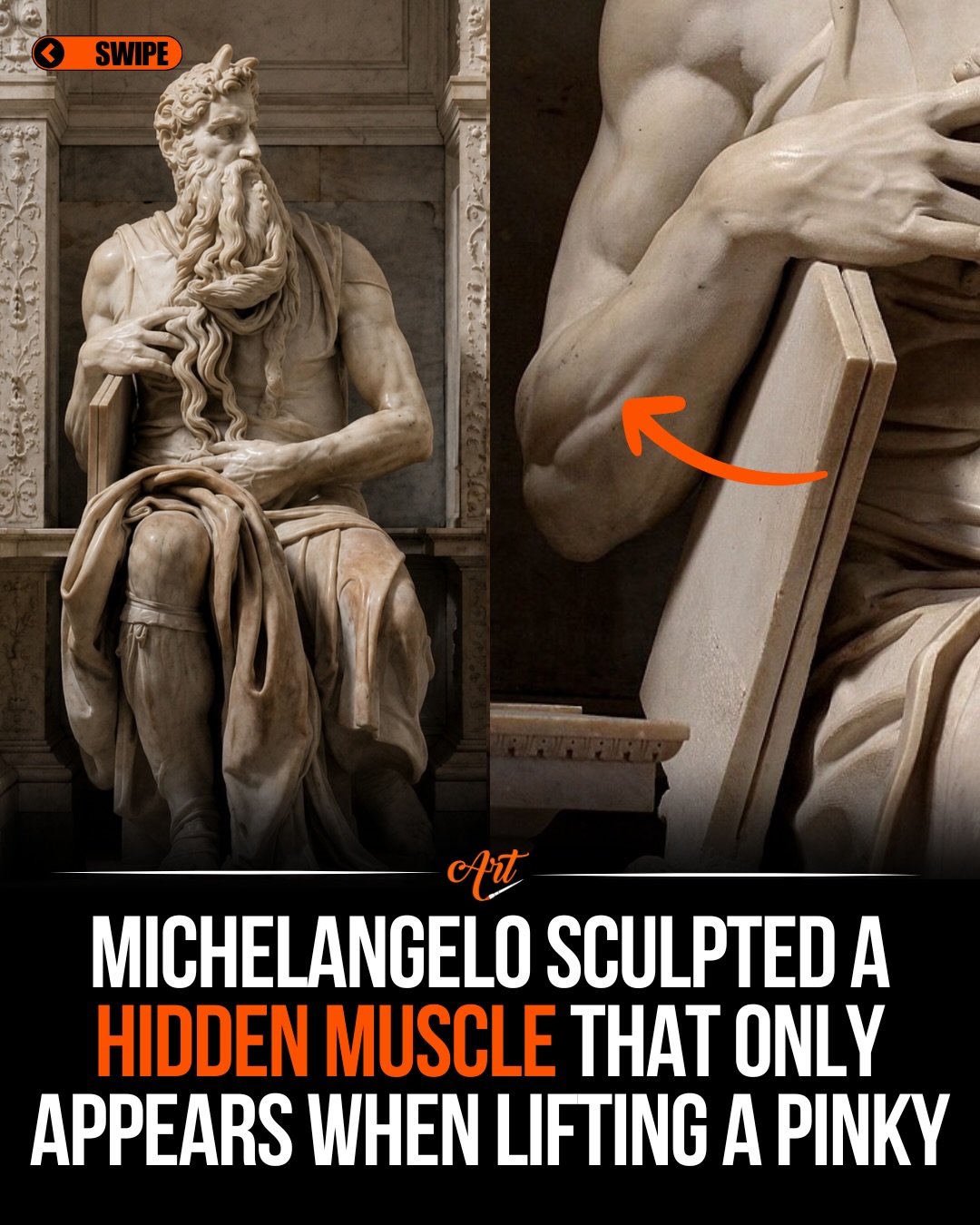 Michelangelo's Moses: Anatomical Precision in Stone
