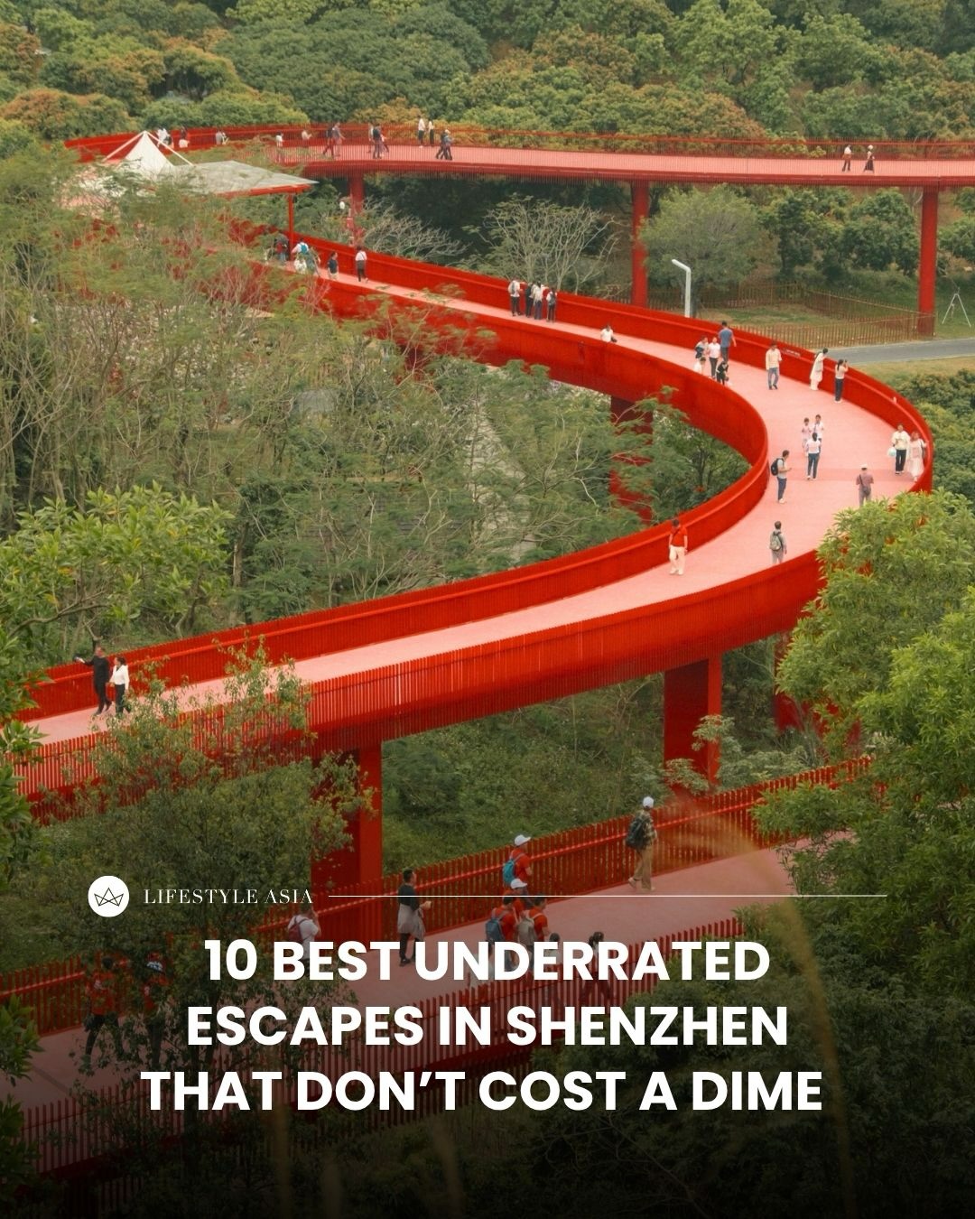 Shenzhen's Free Escapes: Nature and Urban Adventures